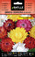 Immortal-Siempreviva Helichrysum Seeds